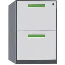 Filling Cabinet Tiger SL-D2